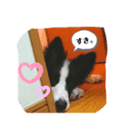 ぜろたにえん。 好きしか言わない（個別スタンプ：8）