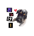 さす丸スタンプ（個別スタンプ：1）