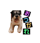 さす丸スタンプ（個別スタンプ：2）