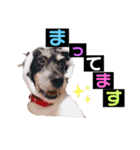 さす丸スタンプ（個別スタンプ：3）