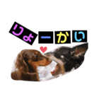 さす丸スタンプ（個別スタンプ：7）