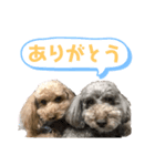 ヴィヴィアンとラ・メール（個別スタンプ：5）