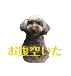 ヴィヴィアンとラ・メール（個別スタンプ：7）