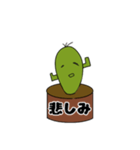 サボテンのIQは3（個別スタンプ：12）