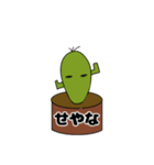 サボテンのIQは3（個別スタンプ：16）