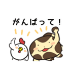 毎日使える！オオサンショウウオくん（個別スタンプ：11）
