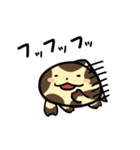 毎日使える！オオサンショウウオくん（個別スタンプ：31）