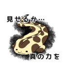 毎日使える！オオサンショウウオくん（個別スタンプ：32）