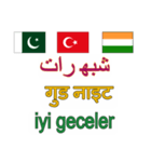 908ウルドゥー語-インド-パキスタン-トルコ（個別スタンプ：6）