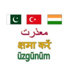 908ウルドゥー語-インド-パキスタン-トルコ（個別スタンプ：12）