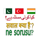 908ウルドゥー語-インド-パキスタン-トルコ（個別スタンプ：15）