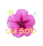 お花  あいさつ（個別スタンプ：3）