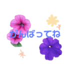 お花  あいさつ（個別スタンプ：4）