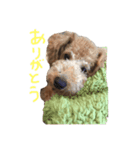 ココアとミルク（個別スタンプ：1）
