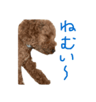 ココアとミルク（個別スタンプ：7）