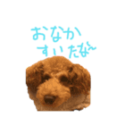 ココアとミルク（個別スタンプ：8）