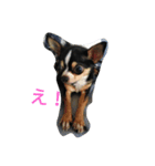 犬のスタンプ2dog stamp（個別スタンプ：1）
