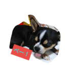 犬のスタンプ2dog stamp（個別スタンプ：2）