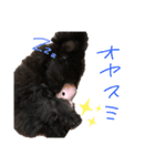 ぷっしゃん（個別スタンプ：3）