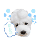 zoo34（個別スタンプ：3）