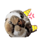 zoo34（個別スタンプ：4）