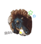 zoo34（個別スタンプ：5）