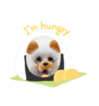 zoo34（個別スタンプ：8）
