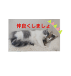 陸とにぃに（個別スタンプ：4）