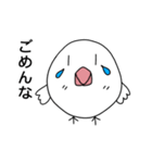 ぴよるーん2 ランチ行こー！（個別スタンプ：19）