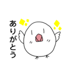 ぴよるーん2 ランチ行こー！（個別スタンプ：24）