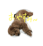 CoRoCoRoN（個別スタンプ：2）