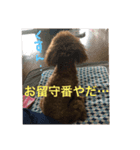 CoRoCoRoN（個別スタンプ：3）