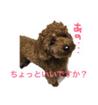 CoRoCoRoN（個別スタンプ：5）