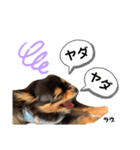 ラヴちゃん日常スタンプ（個別スタンプ：4）