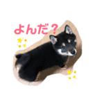 あずきさん.（個別スタンプ：2）