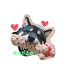 あずきさん.（個別スタンプ：3）