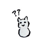 しろいたぬき（個別スタンプ：5）