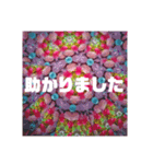 カラフル★万華鏡（個別スタンプ：13）