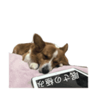 レモンの一言（個別スタンプ：2）
