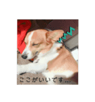 レモンの一言（個別スタンプ：8）