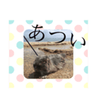 Marquis4（個別スタンプ：7）