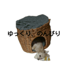 Kofukuchan No.5（個別スタンプ：8）