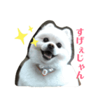 モカラニアン その2（個別スタンプ：3）