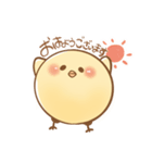 フォトスタジオcocoaのぴよきち（個別スタンプ：1）