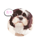ゆきち365（個別スタンプ：2）