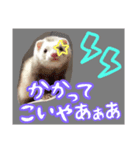 †ひめまるのスタンプ†（個別スタンプ：7）
