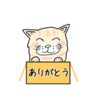 ダンボール色のねこ（個別スタンプ：1）