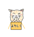 ダンボール色のねこ（個別スタンプ：2）