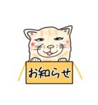 ダンボール色のねこ（個別スタンプ：4）