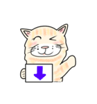 ダンボール色のねこ（個別スタンプ：8）